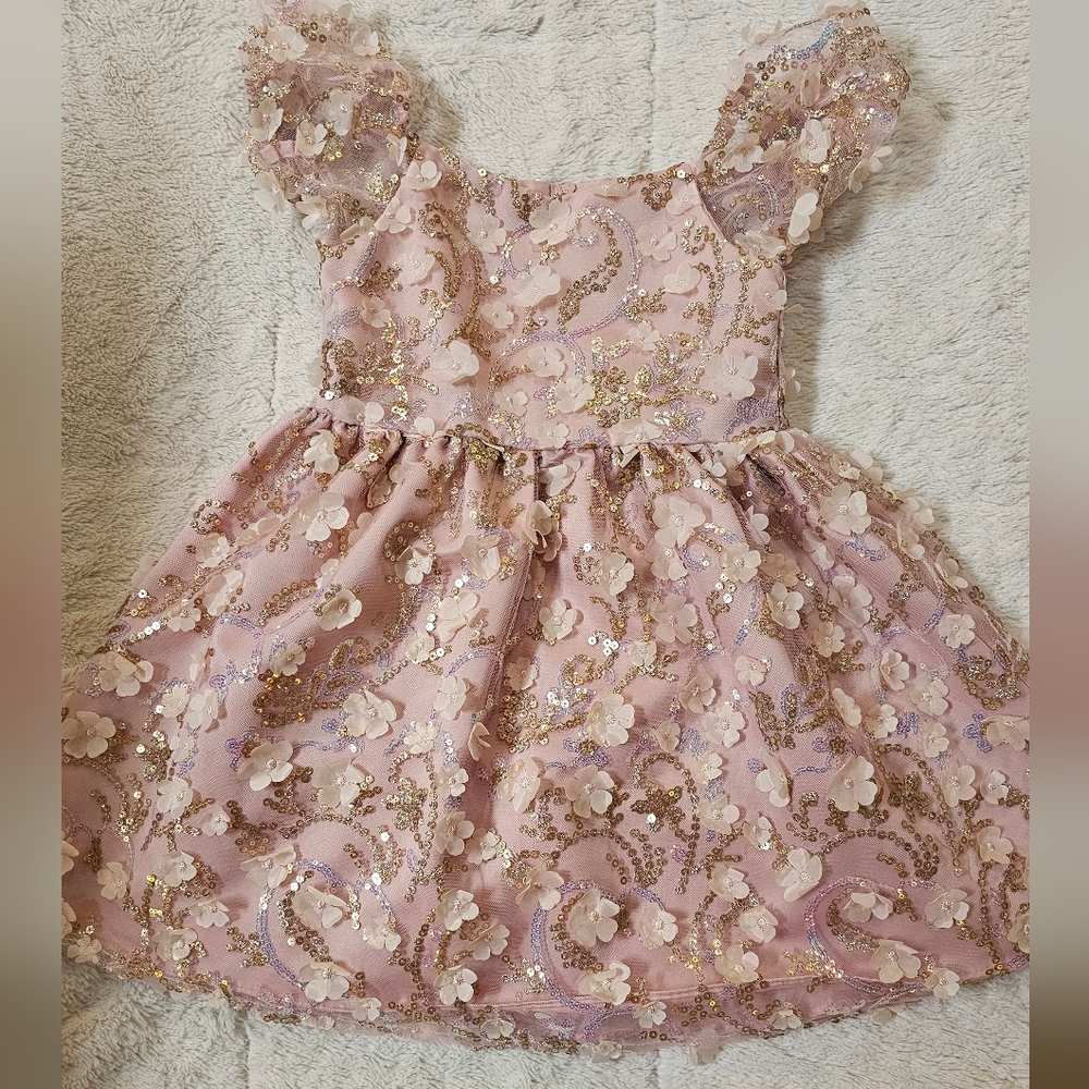 Rare Editions Girls Size 5 Pink and Gold Floral Dress